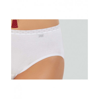 Braga midi sin costuras cintura fantasía 32345 de Avet -... 2