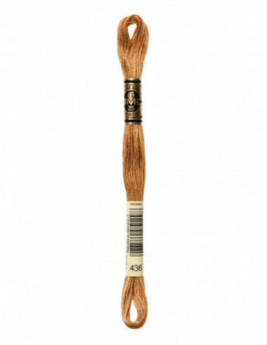 Mouliné DMC E436