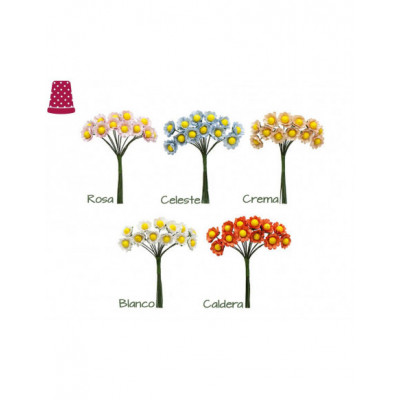 Ramillete margaritas (12 unidades) - varios colores 2