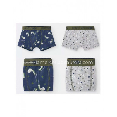 Bóxer infantil (pack 2 uds) Dino de Waterlemon