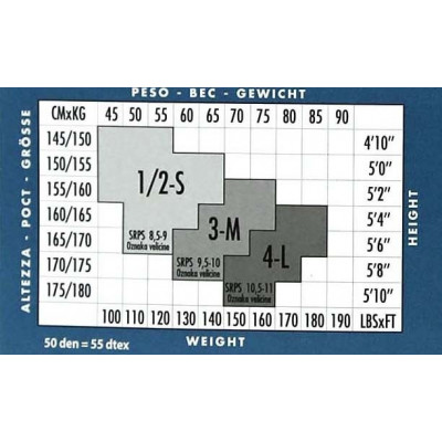 Panty microfibra 50 den de Pompea 2