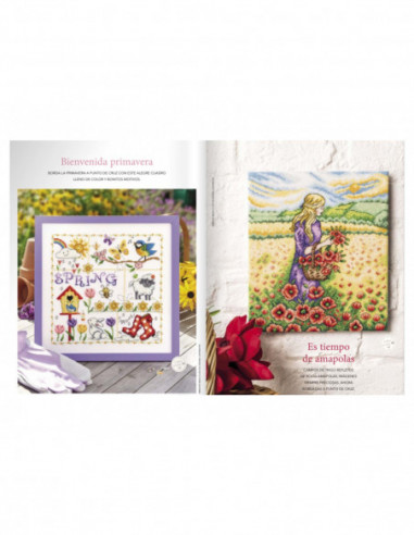 Revista Maravillosos cuadros a punto de cruz nº 1