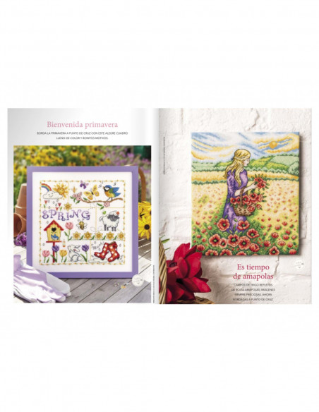 Revista Maravillosos cuadros a punto de cruz nº 1