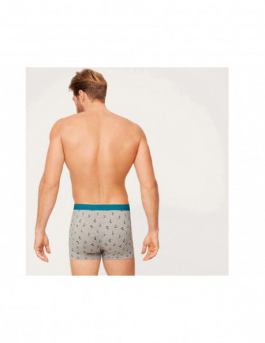 Bóxer algodón fantasía (pack 2 uds) 20319 de...