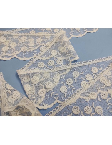 Encaje de tul bordado marfil (ancho 11cm) Aurora