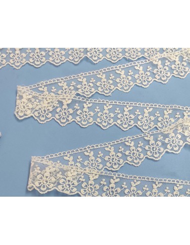 Encaje de tul bordado marfil (ancho 4cm) Anais
