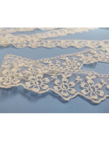 Encaje de tul bordado marfil (ancho 4cm) Anais