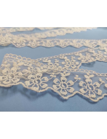 Encaje de tul bordado marfil (ancho 4cm) Anais