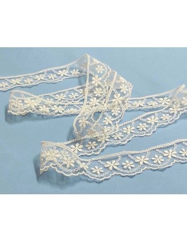 Encaje de tul bordado marfil (ancho 2,5cm) Nora