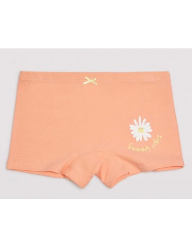 Bóxer culotte niña Helados y frutas (pack 2 ud)...