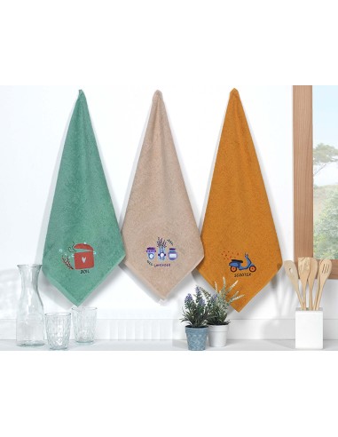 Paños de cocina B-521 de Dolz