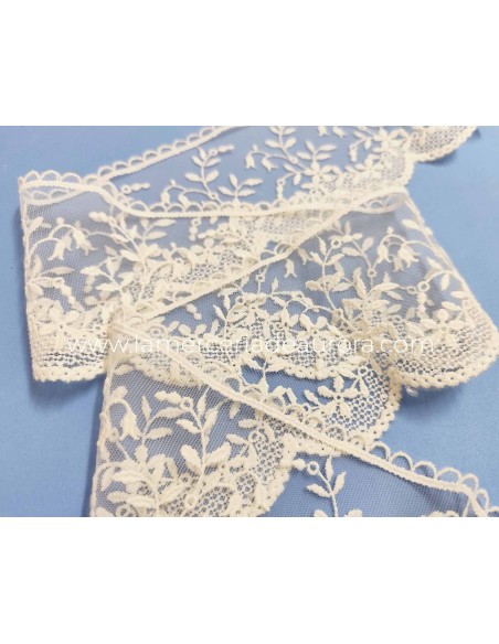 Encaje de tul bordado marfil (ancho 8,5 cm) Delia