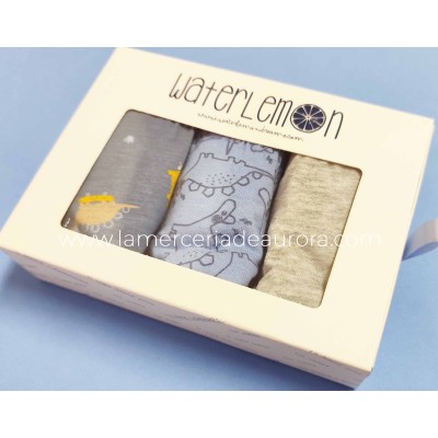 Slip infantil (pack 3 uds) Dino 110 de Waterlemon 2