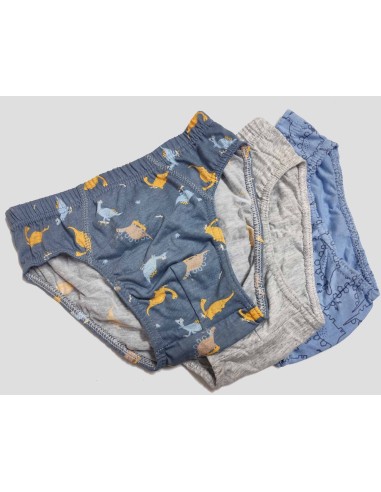 Slip infantil (pack 3 uds) Dino 110 de Waterlemon