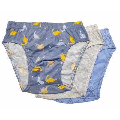 Slip infantil (pack 3 uds) Dino 110 de Waterlemon