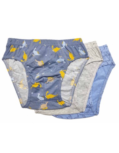 Slip infantil (pack 3 uds) Dino 110 de Waterlemon