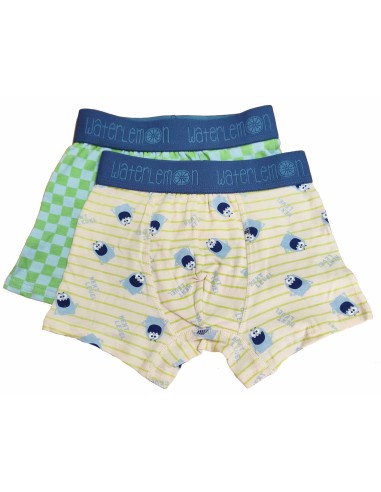 Bóxer infantil (pack 2 uds) Monster 120 de Waterlemon