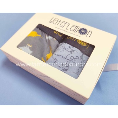 Bóxer infantil (pack 2 uds) Dino 120 de Waterlemon 2