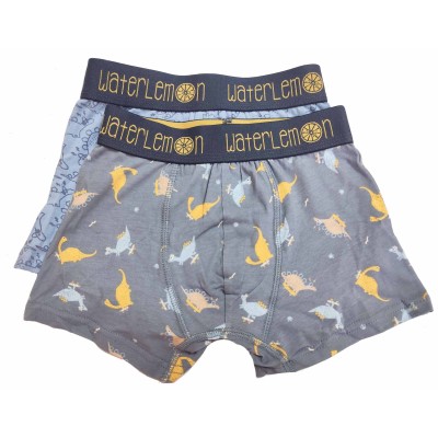 Bóxer infantil (pack 2 uds) Dino 120 de Waterlemon