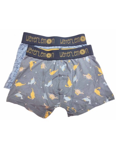 Bóxer infantil (pack 2 uds) Dino 120 de Waterlemon