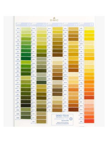 Hilo Mouliné DMC (art. 117) colores lisos - CARTA COLORES-3