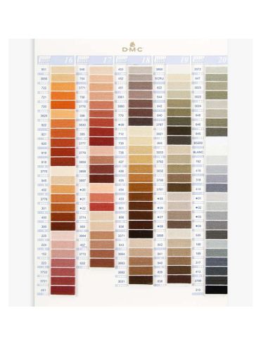 Hilo Mouliné DMC (art. 117) colores lisos - CARTA COLORES-4
